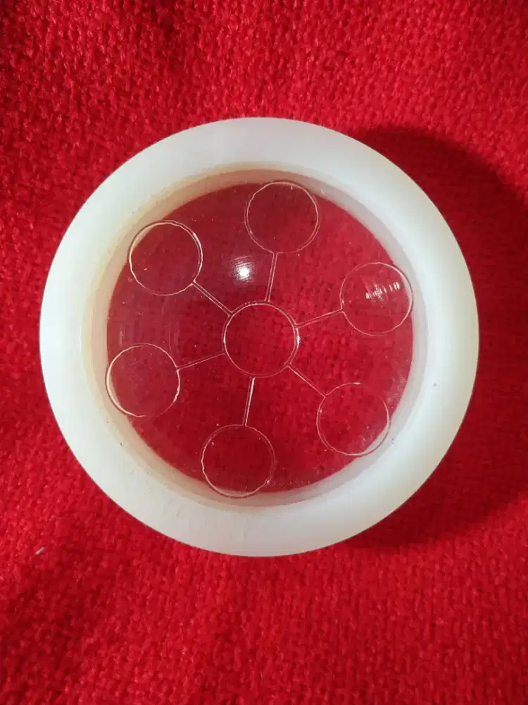 Biodisc 2 tanpa / dengan karet pelindung,dus tidak ada.