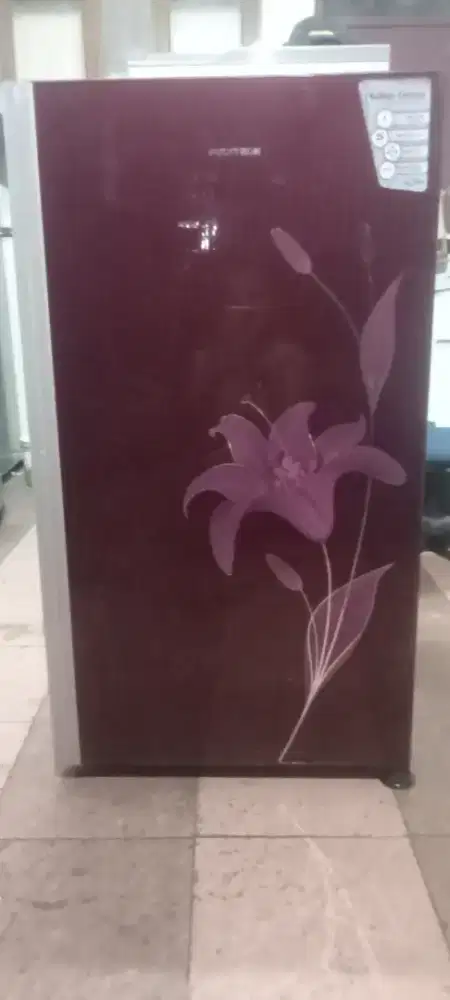 Politron belesa mdl br orian