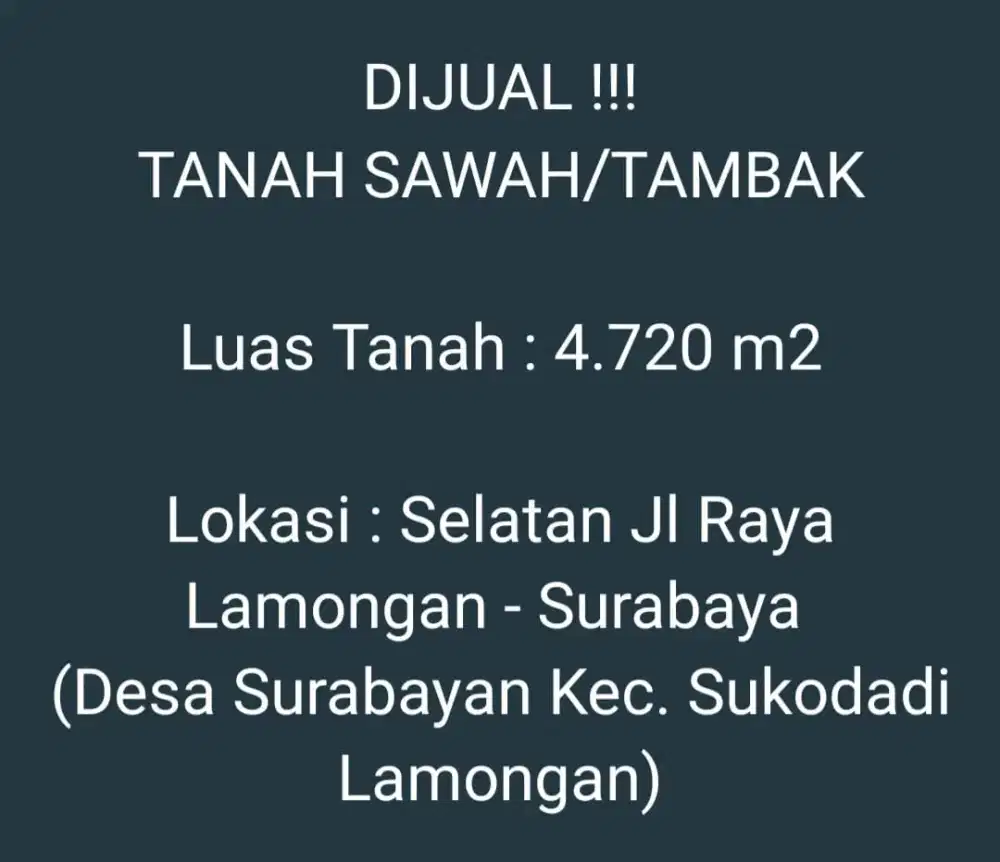 Dijual cepat 600 JT Tanah Sawah/ Tanah Tambak