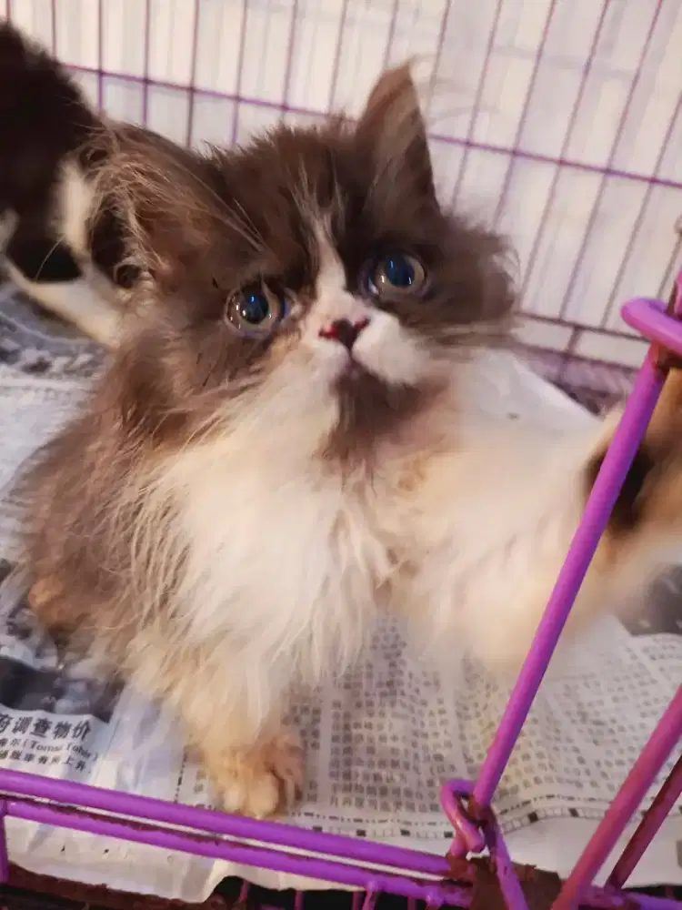 Betina  black snd white