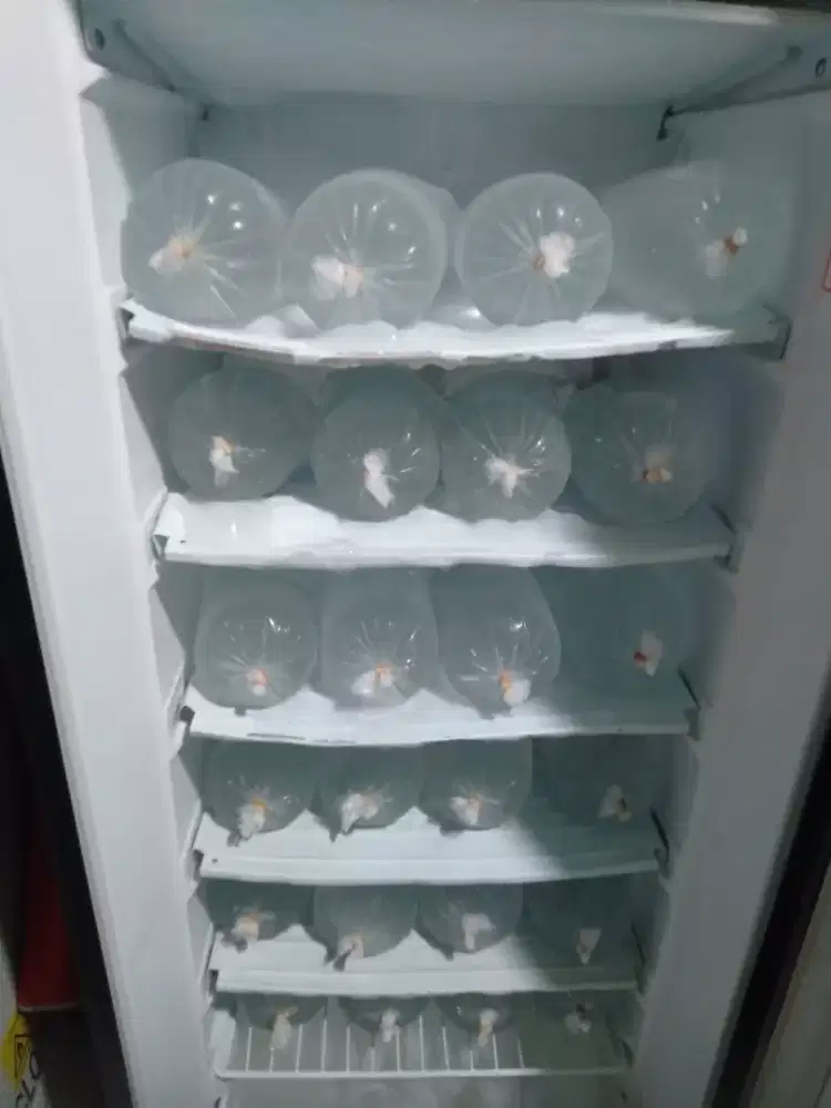 JUAL KULKAS FLIZER BLM LAMA BELIASIH SANGAT-SANGAT BAGUS