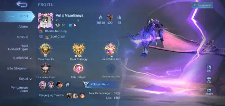 AKUN ML,SPEK JUNGLE,LING