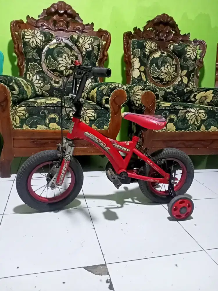 Wimcycle ori r12