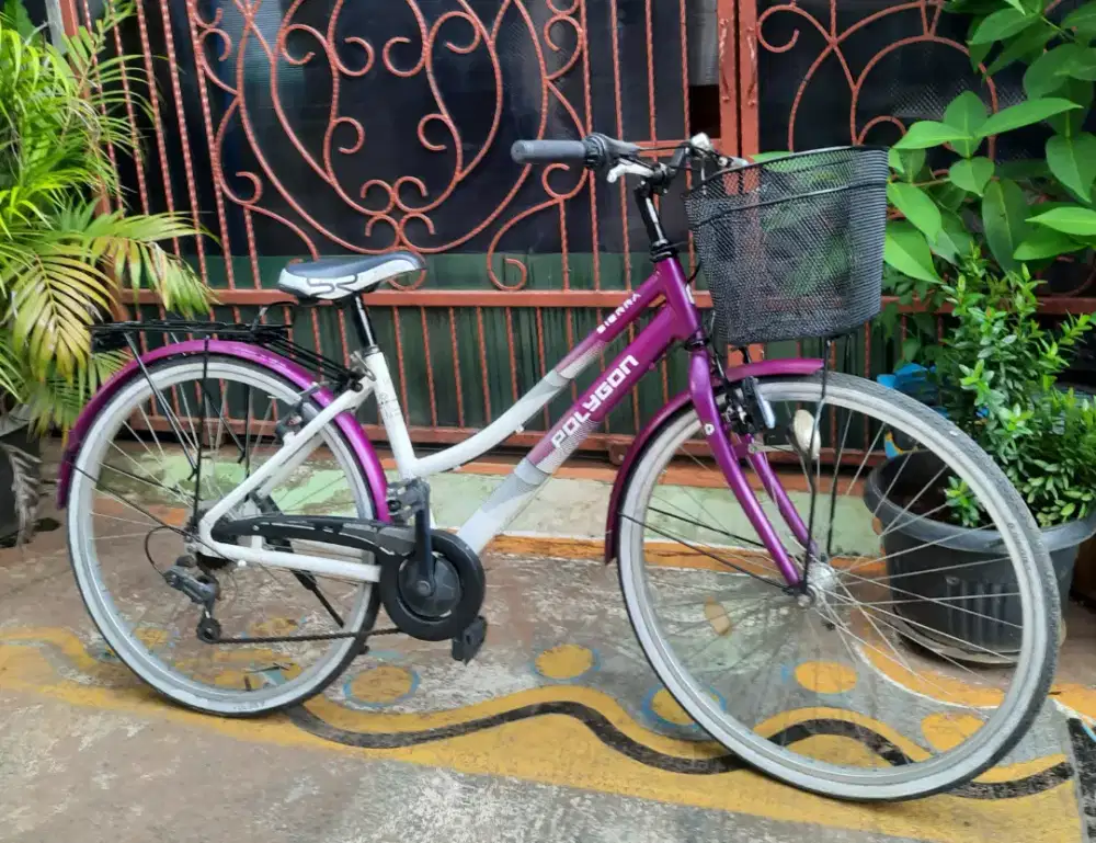 Jual Borongan 2 Sepeda