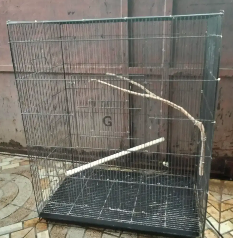 Sangkar koloni lovebird