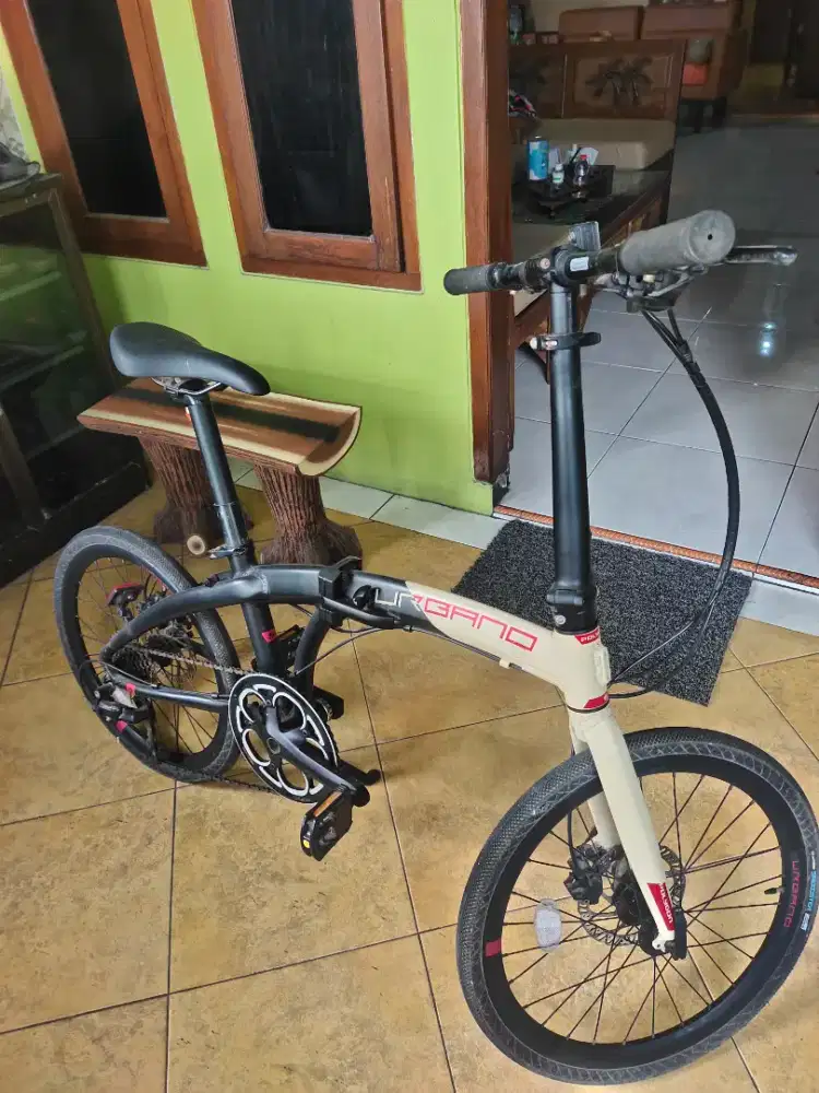 Polygon urbano 5 mulus