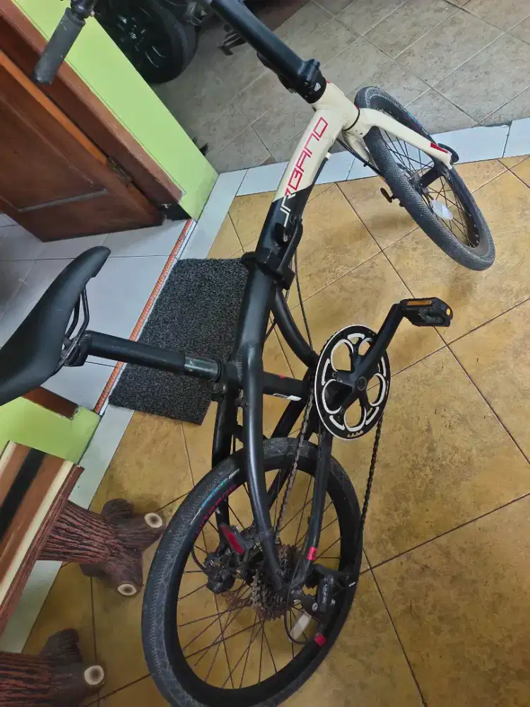 Polygon urbano 5 mulus