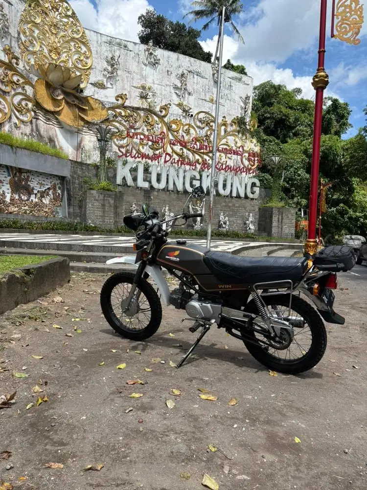 Honda win 100 th 1996