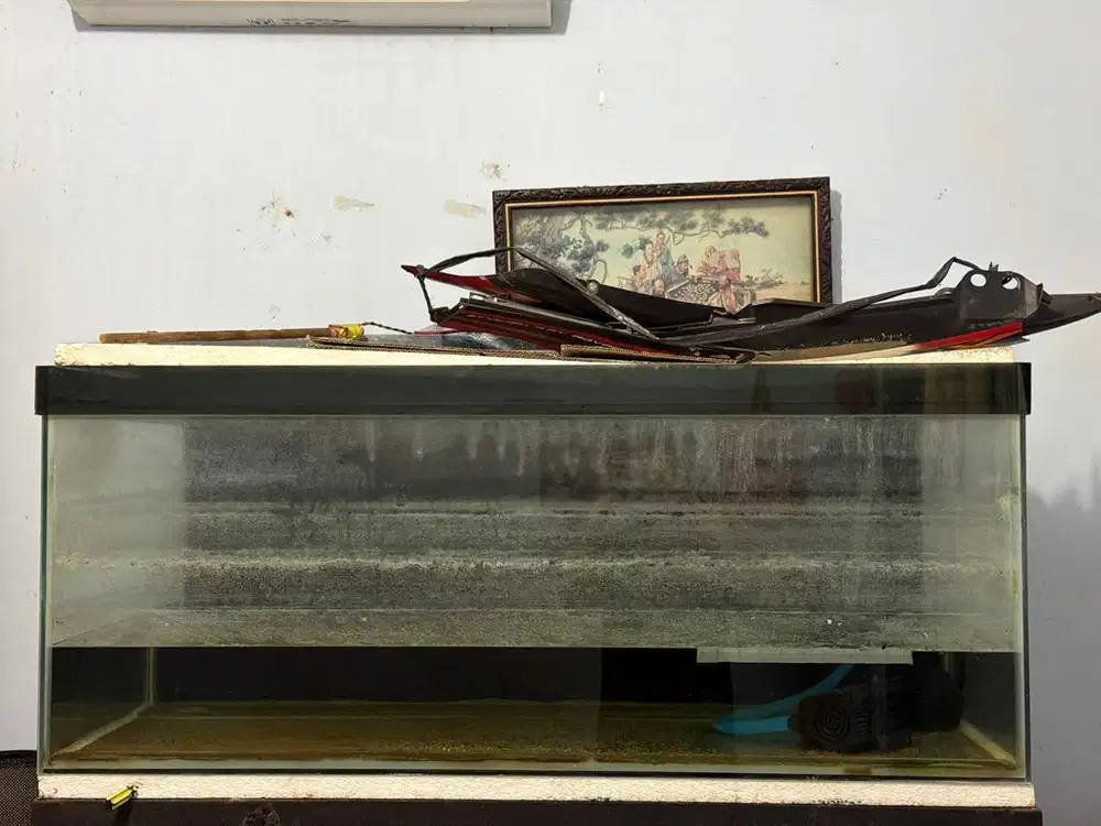 Aquarium JUMBO only.