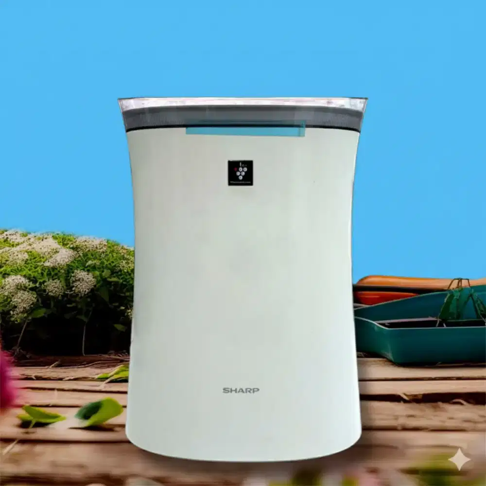 Air purifier Sharp second NORMAL