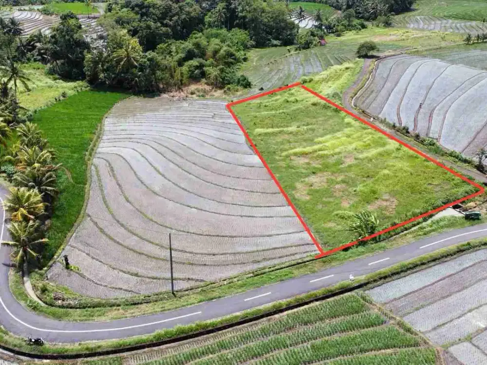 FREEHOLD 
Di jual tanah dengan pemandangan sawah dan laut, berjarak 1km ke pantai abiankapas beraban tabanan