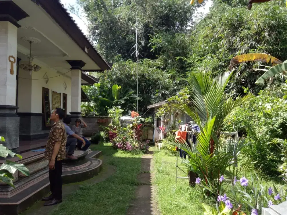 DIJUAL 1 BIDANG TANAH & BANGUNAN – KABUPATEN TABANAN
