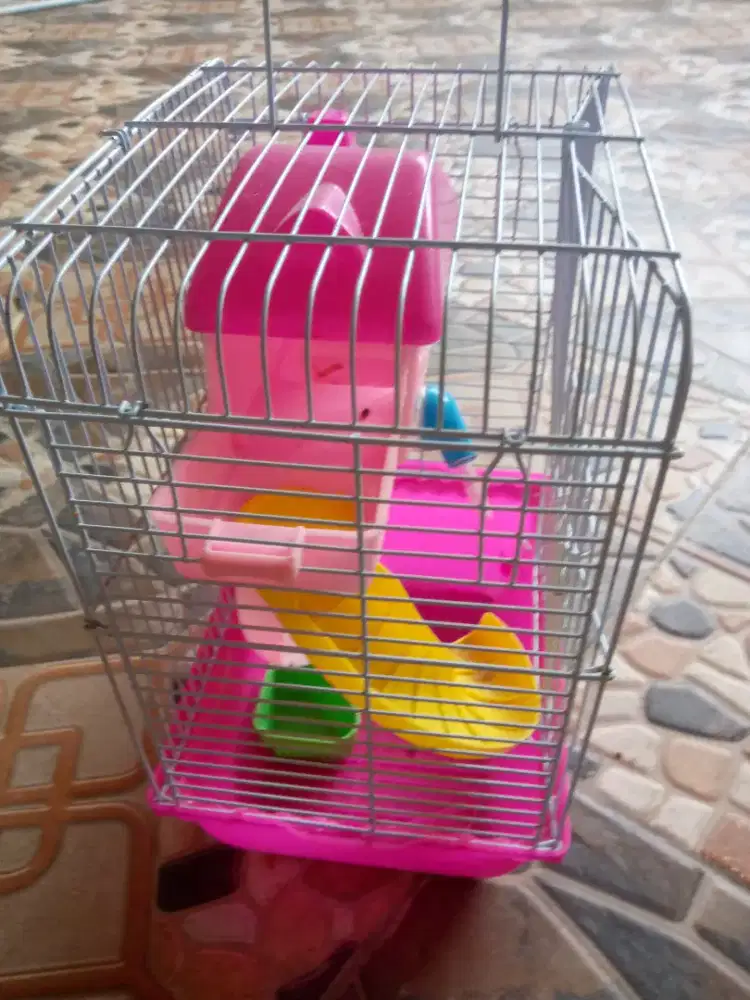 Jual cepat kandang hamster