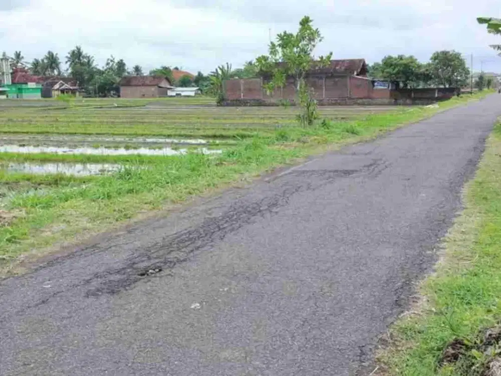 SAWAH TEPI JALAN ASPAL DEKAT JALAN RAYA GODEAN YOGYAKARTA