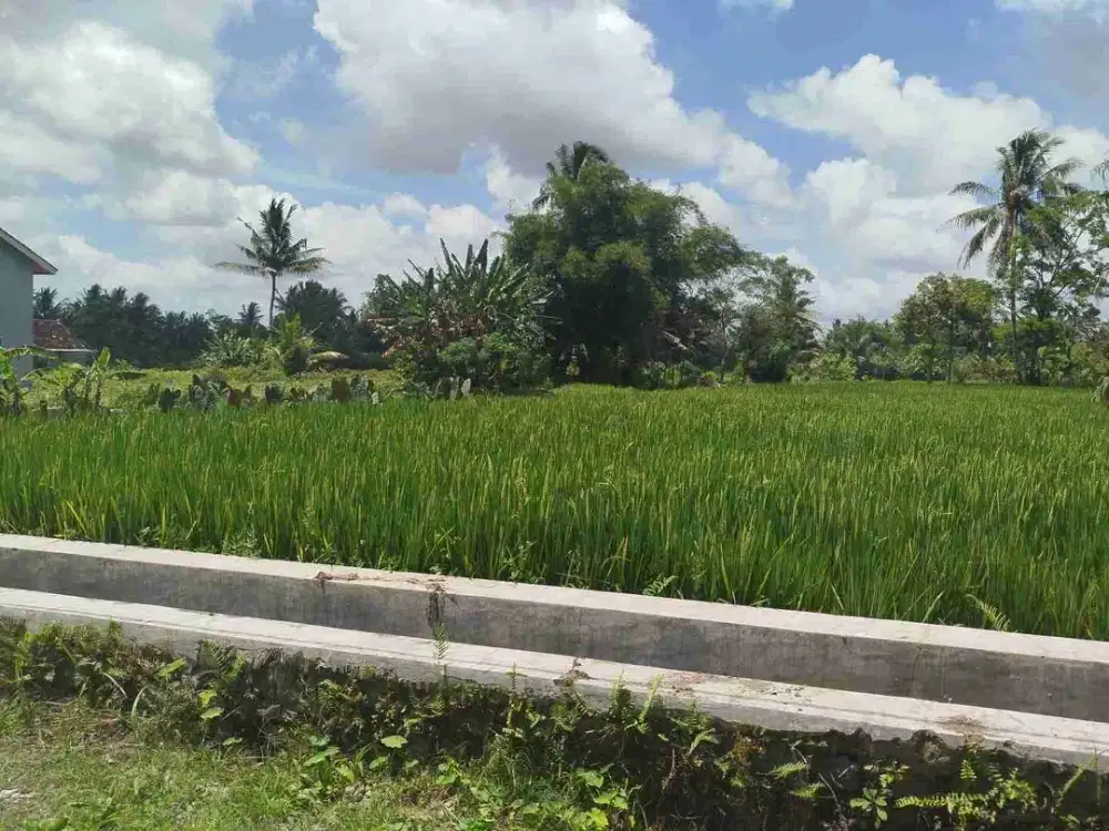 Dijual Tanah Strategis dekat Jalan Utama