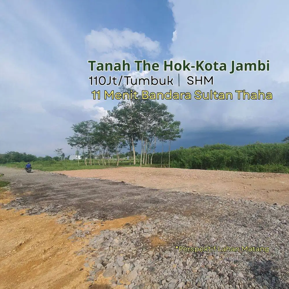 Jual Tanah Beringin, Kebun Kopi