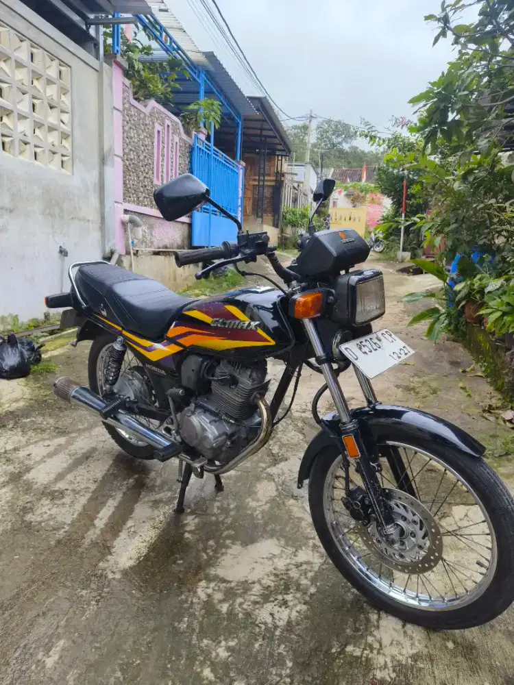 Gl max cat striping orisinil