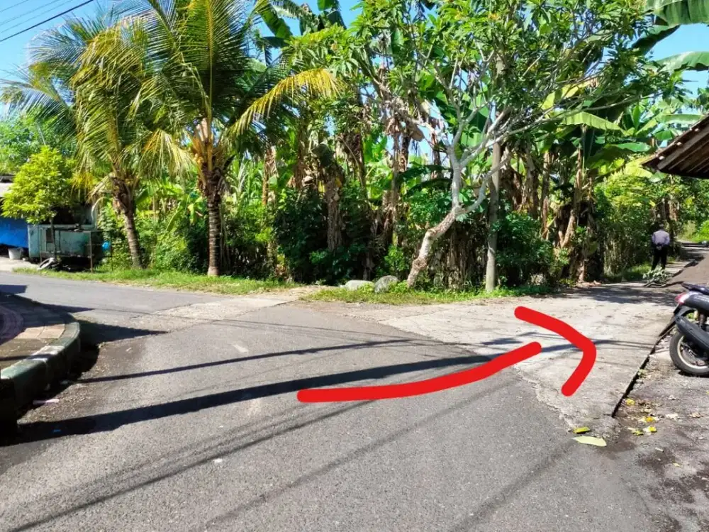 DIJUAL 1 BIDANG TANAH – KABUPATEN JEMBRANA