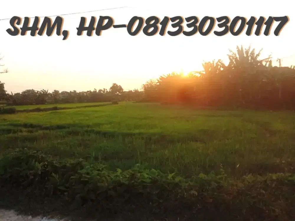 Dijual, Tanah, Sawah, dekat Madrasah,
