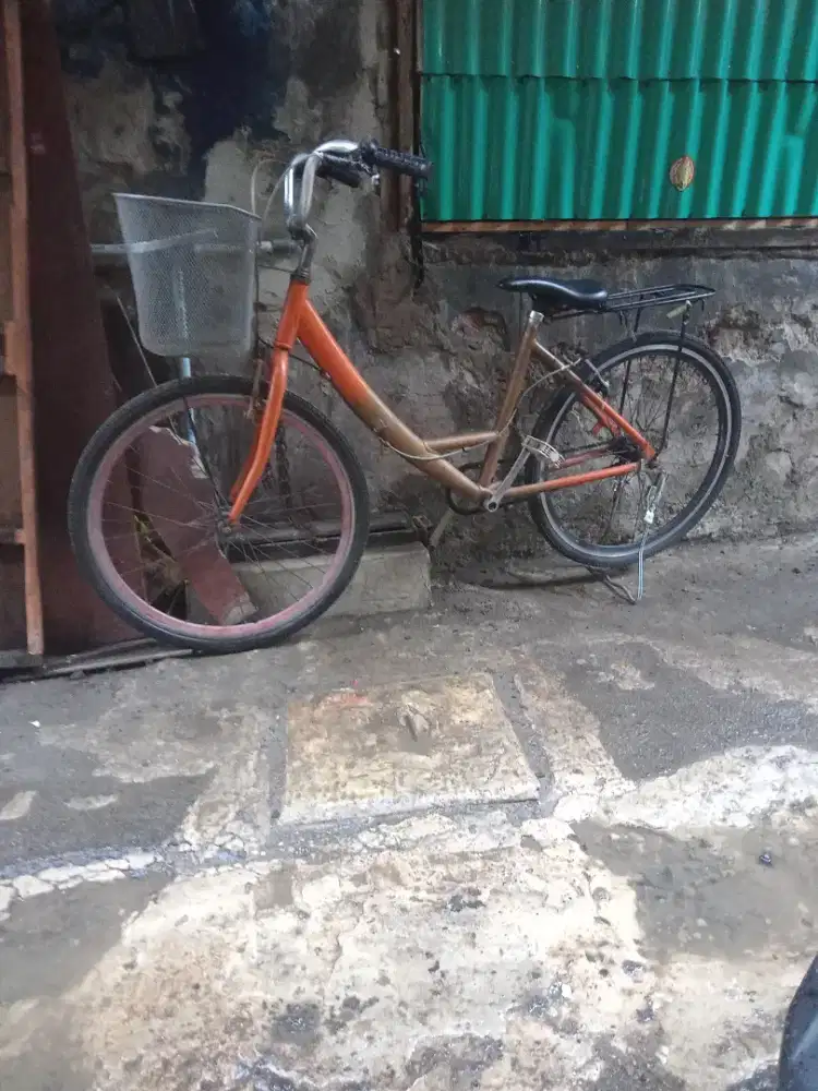 Sepeda keranjang belanja dewasa siap gowes