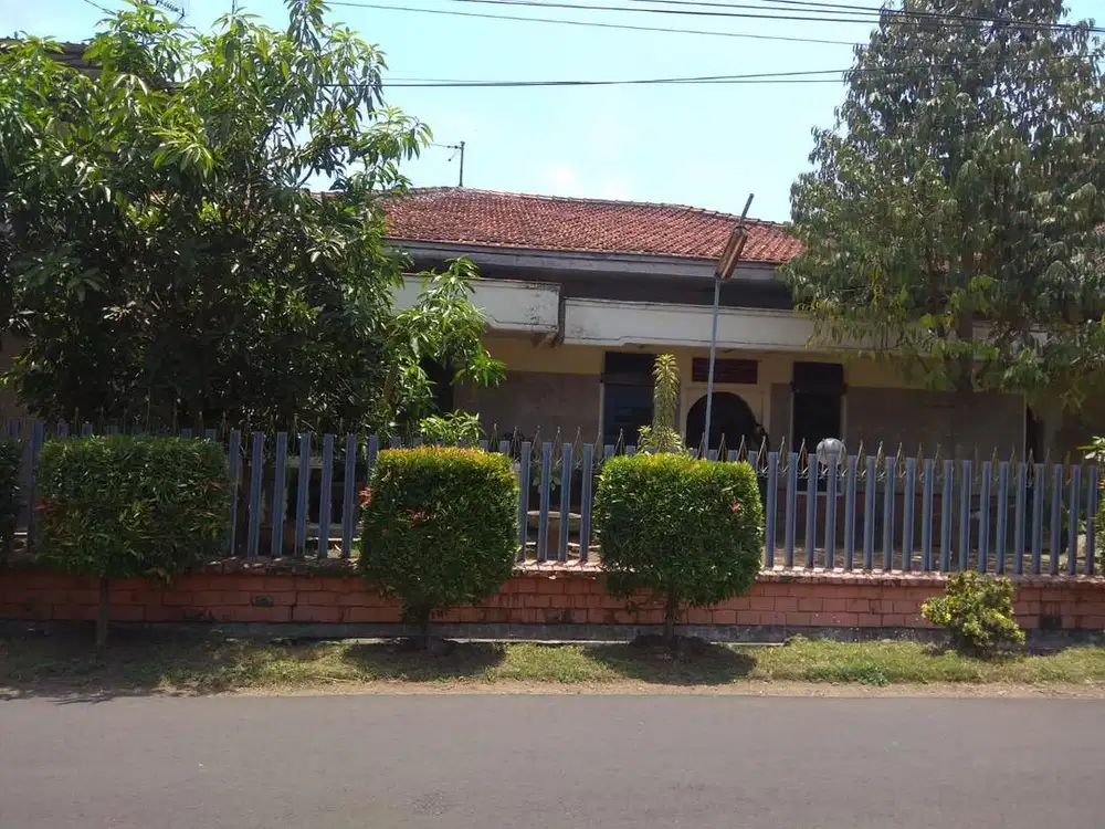 Dijual Cepat Rumah Strategis Dekat Pasar Pelita dan Lippo Plaza Jember