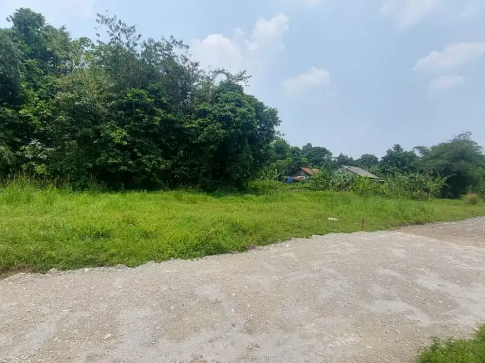 100 Juta-an Kavling Cisauk, Dekat Tol Serbaraja & Stasiun Jatake