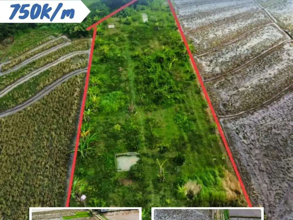 DIJUAL TANAH PEKARANGAN SELATAN ALUN-ALUN KARANGANYAR