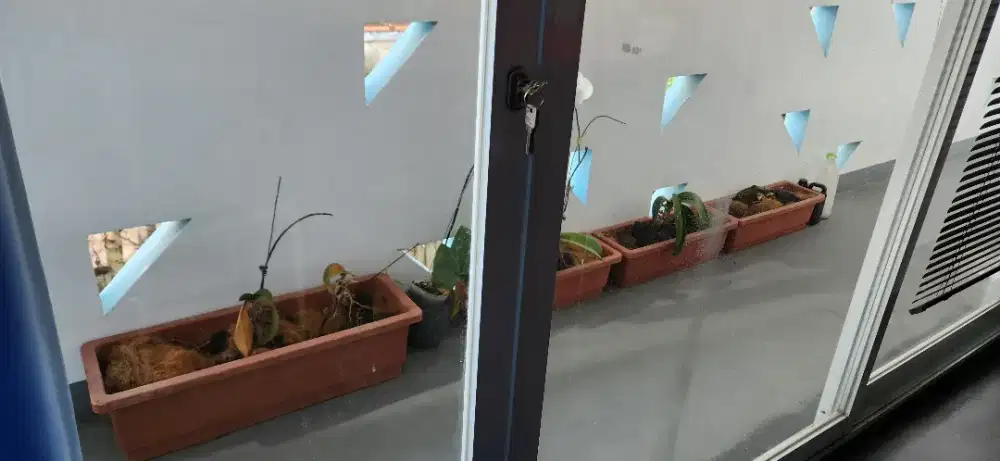 Jual murah pot self watering, gratis anggrek