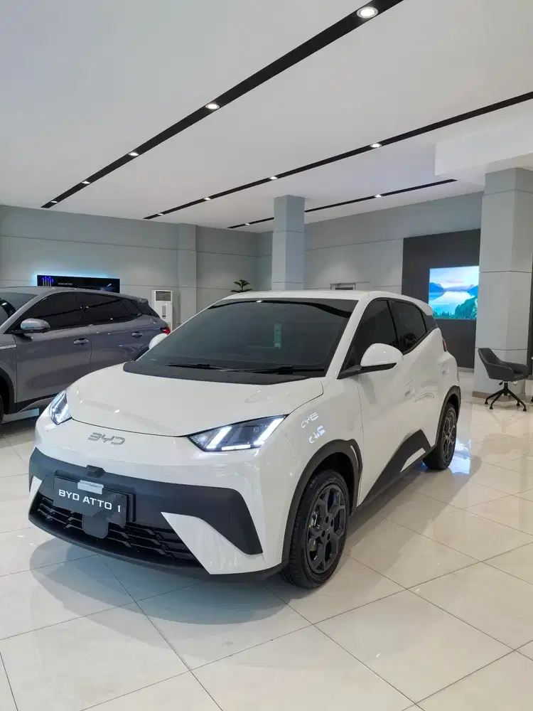 BYD Atto 1 2025 EV