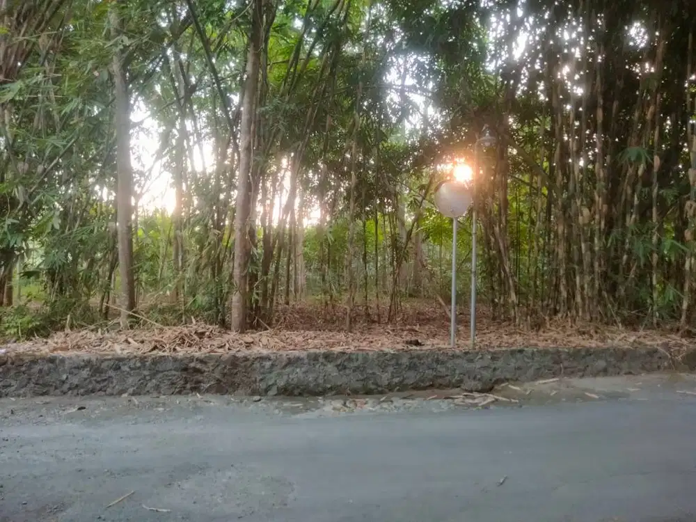 Tanah Dijual di Prambanan, Lokasi Strategis