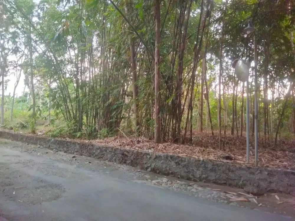 Tanah Dijual di Prambanan, Lokasi Strategis