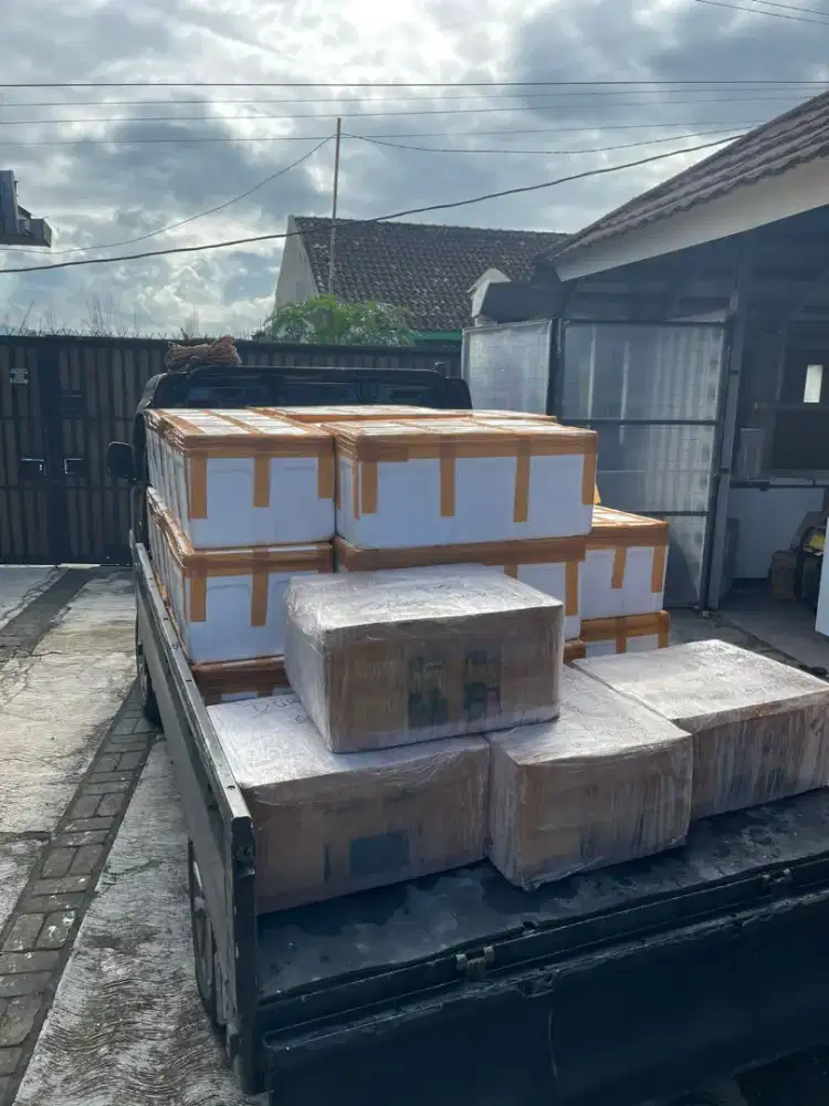 DagDur Ready Stock Akhir Tahun