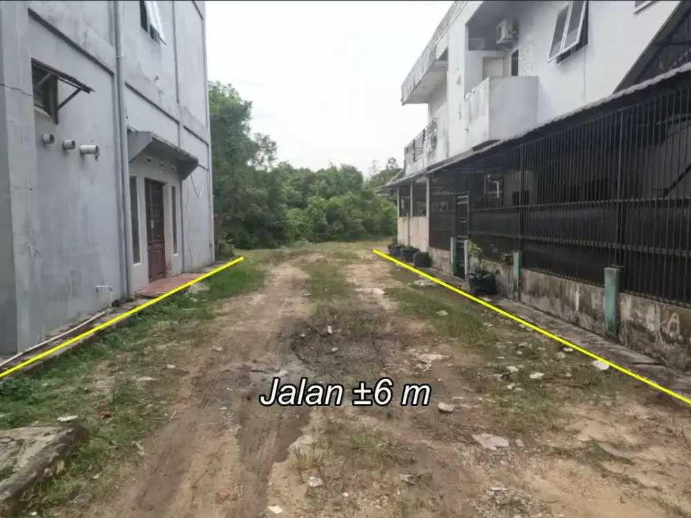 Tanah Murah Samping UNRI: 50 Meter ke Jl. Bangau Sakti