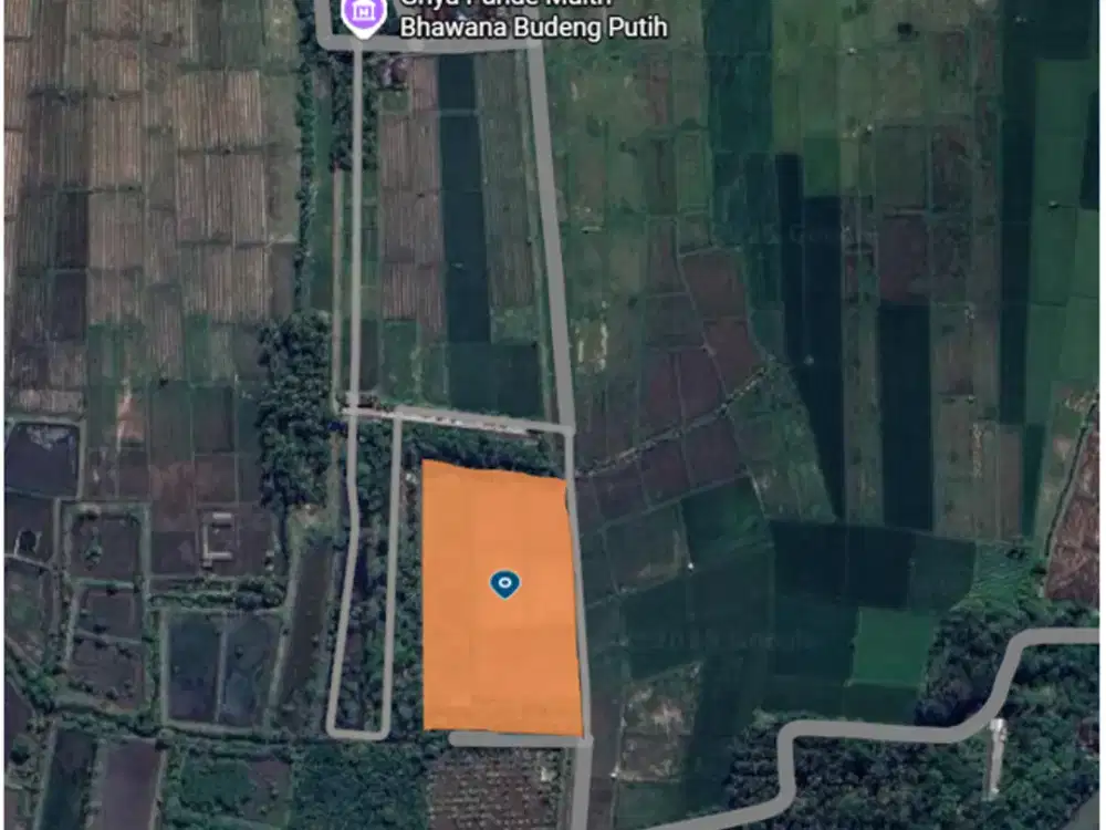 DIJUAL 1 BIDANG TANAH – KABUPATEN JEMBRANA