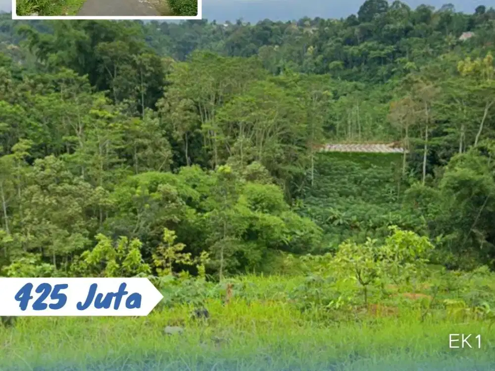 Dijual Tanah Status Tegal Lokasi Karangpandan