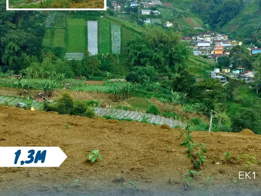 Dijual Tanah Status Tegal Lokasi Tawangmangu