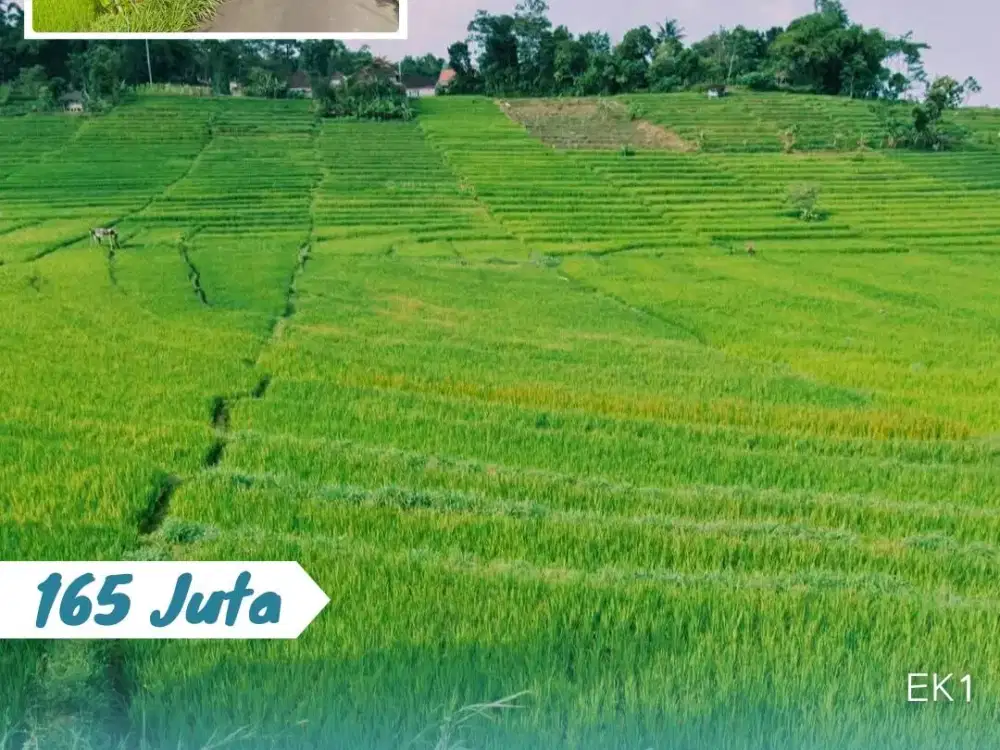 Dijual Tanah Lokasi Karangpandan Status Pekarangan