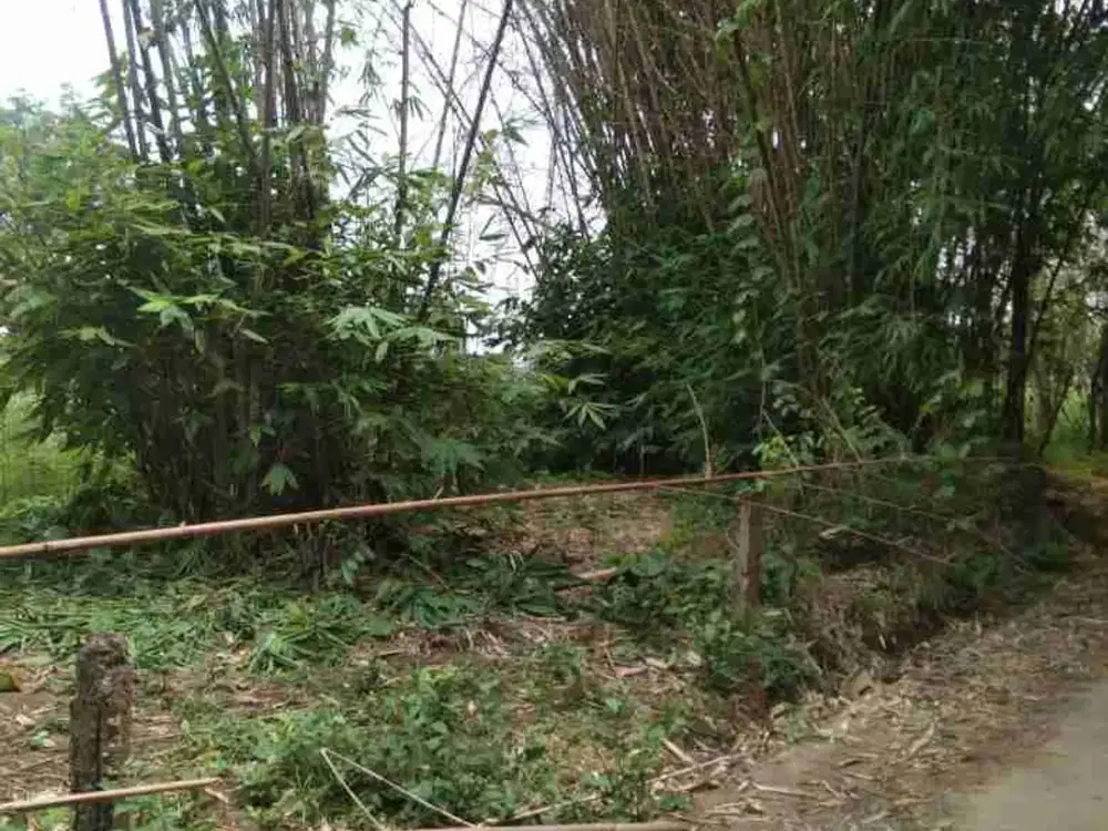 Dijual tanah 900 m² berlokasi di Jl Tanjung Barangan ,Bukit Baru Palembang