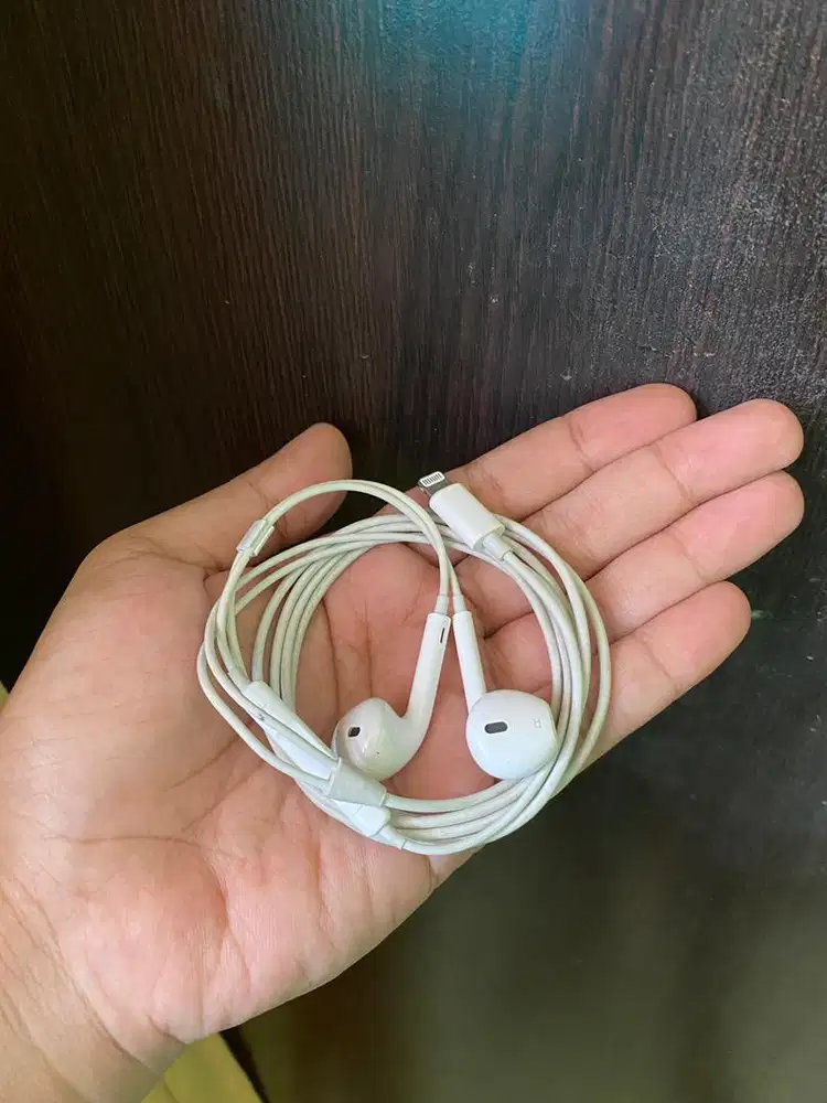 Headset/EarPods iPhone