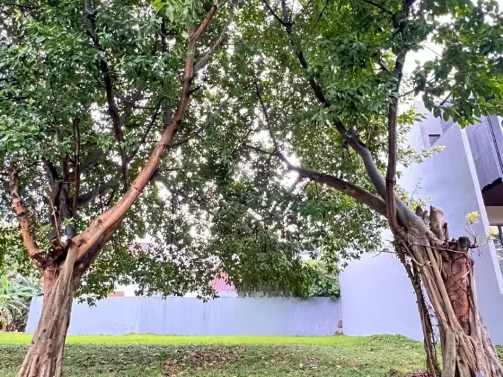 Kavling Siap Bangun Luas 236m² Kemang Bekasi Lokasi Strategis