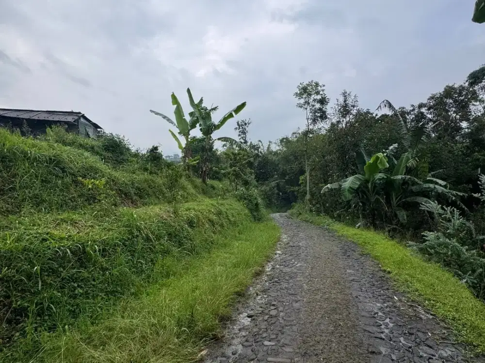 tanah murah kota batu dijual murah cocok untuk cafe atau villa kebun