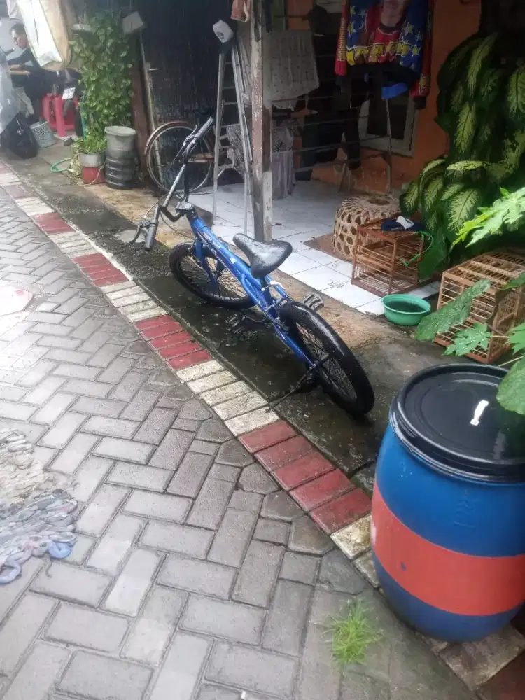 Jual sepeda  EVERGREEN