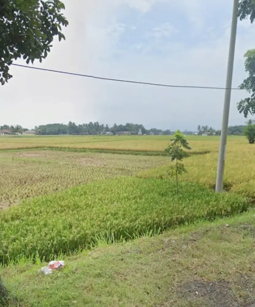 Jual butuh tanah dpn jl raya Cipanas area industri luas tanah 6000 mtr