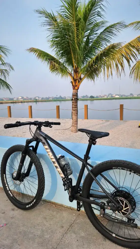 Sepeda United Clovis 5.10 11 Speed (Second Like New)