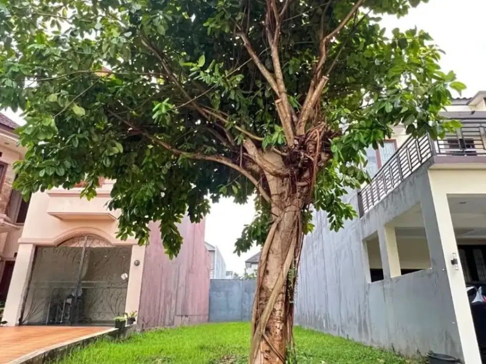 Dijual Kavling Luas 220m² Kemang Bekasi Strategis Siap Bangun