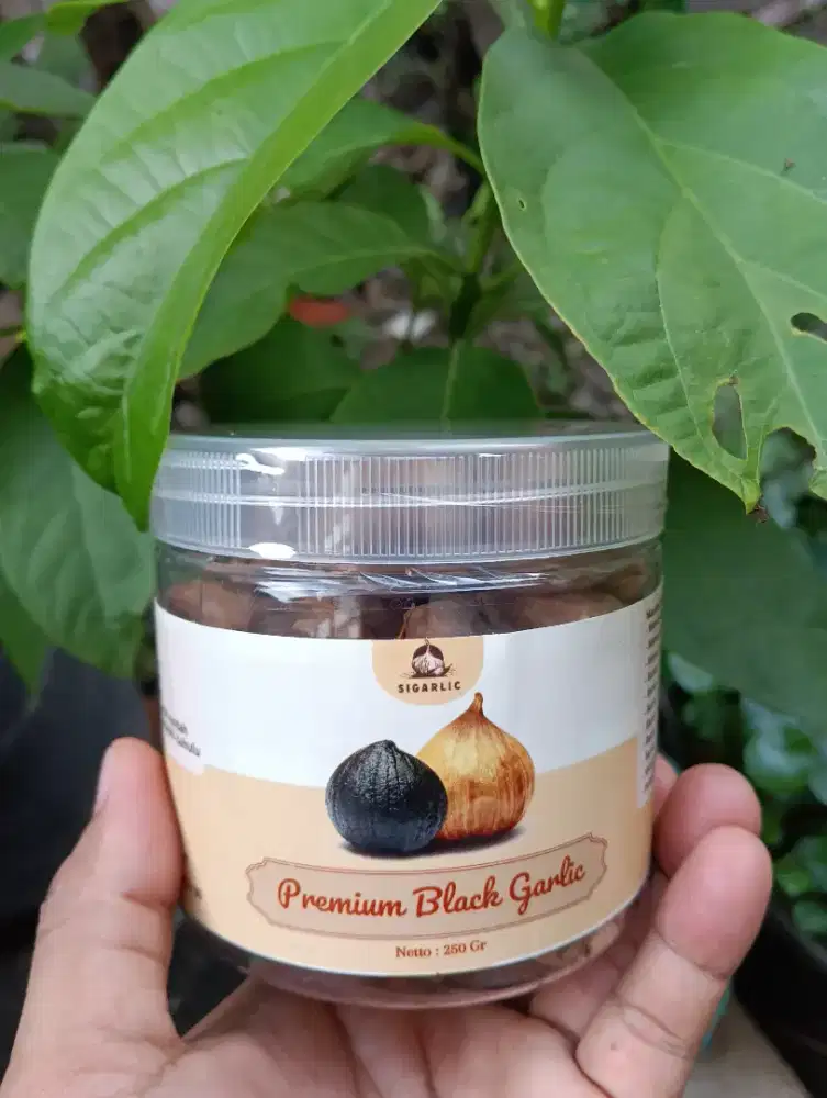 Bawang Tunggal Berkhasiat