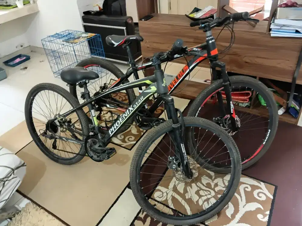 Jual Sepeda Gunung Bekas