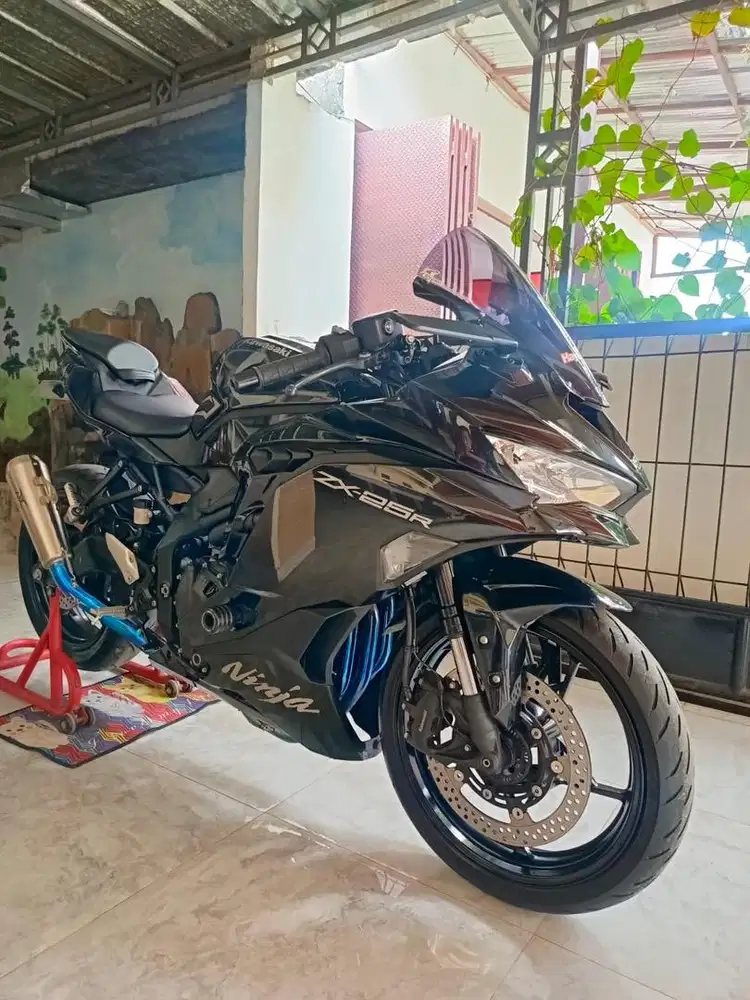 Kawasaki ZX 25 R