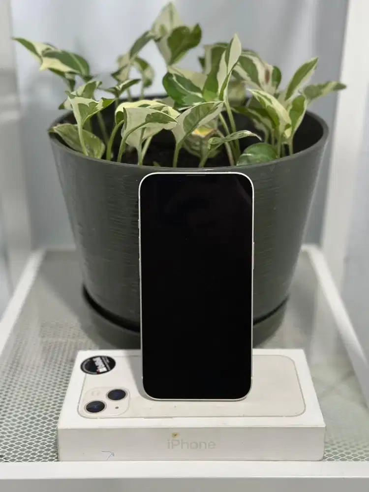 Iphone 13 Blibli 128gb Resmi