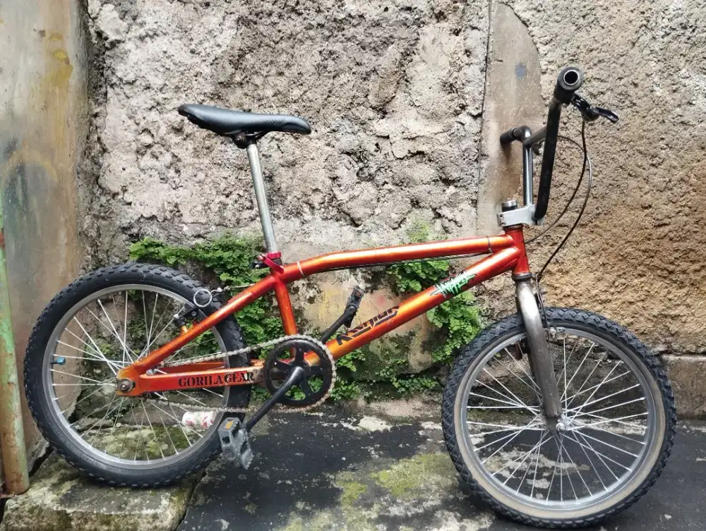 Sepeda Bmx Haro Backtrail